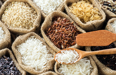 Generations of Nutritional Wisdom – Chapter 1: Rice