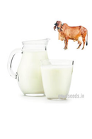 A2 Gir Cow Milk