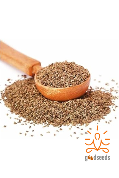 Ajwain