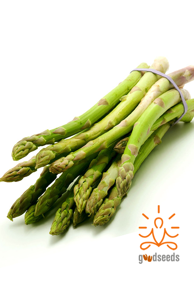 Asparagus