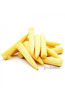 Baby Corn