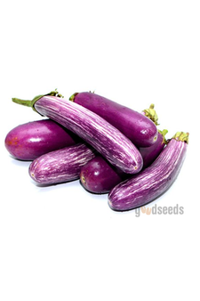 Long Brinjal