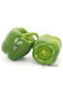 Green Capsicum