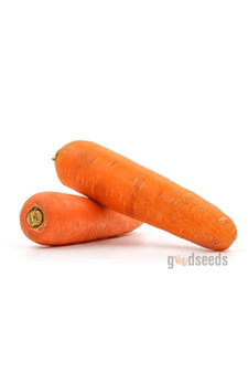 Ooty Carrot