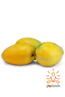 Chaunsa Mango