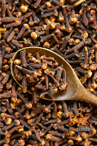 Clove