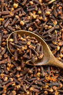 Clove