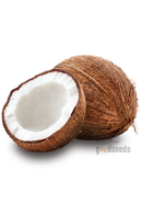 Fresh Coconut