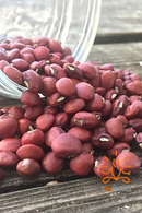 Cowpea Red