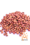 Cowpea Red