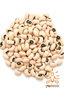 Cowpea White