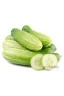 Cucumber