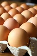Local Country Eggs