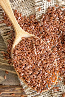 Flax Seeds