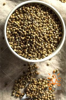 Hemp Seeds