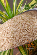 Iluppai Poo Samba Rice