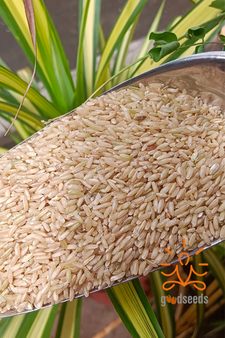 Iluppai Poo Samba Rice