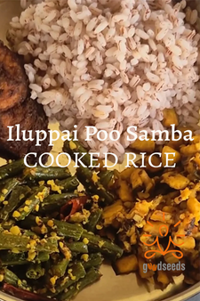 Iluppai Poo Samba Rice