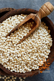 Jowar Millet