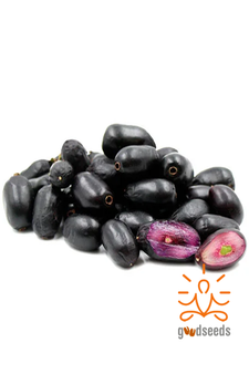 Black Jamun