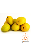 Kesar Mango