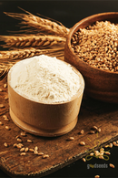 Khapli Wheat Flour