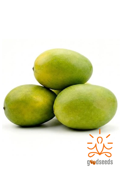 Langra Mango