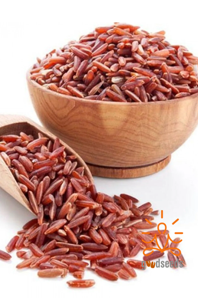 Maapillai Samba Rice
