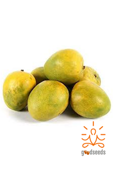 Malgova Mango