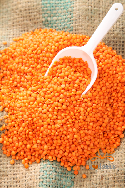 Masoor Dal