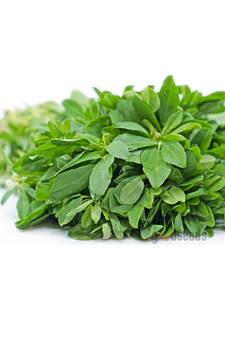 Methi