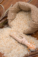 Barnyard Millet