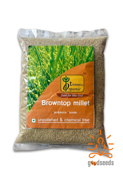 Browntop Millet