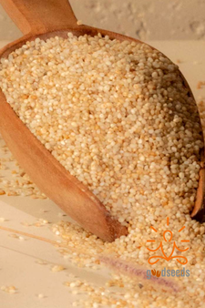 Little Millet