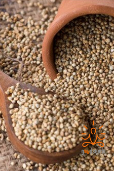 Bajra Millet