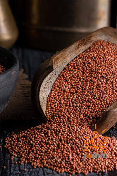 Finger Millet
