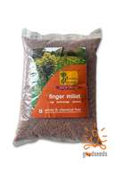 Finger Millet