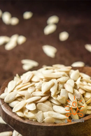 Muskmelon Seeds