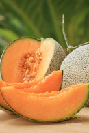 Muskmelon