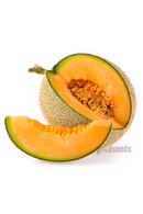 Muskmelon