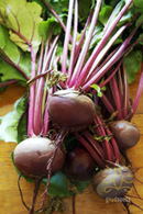Ooty Beetroot