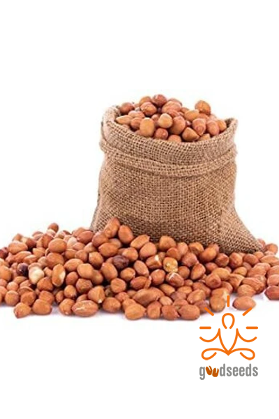 Naati Peanuts
