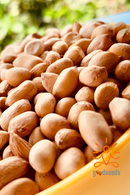 Raw Groundnuts