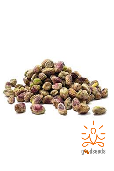 Shelled Pista