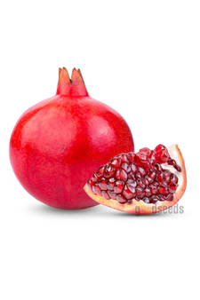 Pomegranate