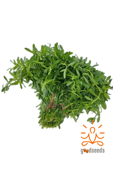Ponnaganti Kura