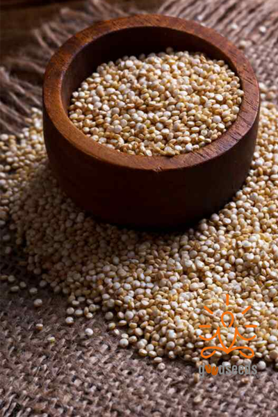 Quinoa