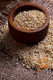 Quinoa