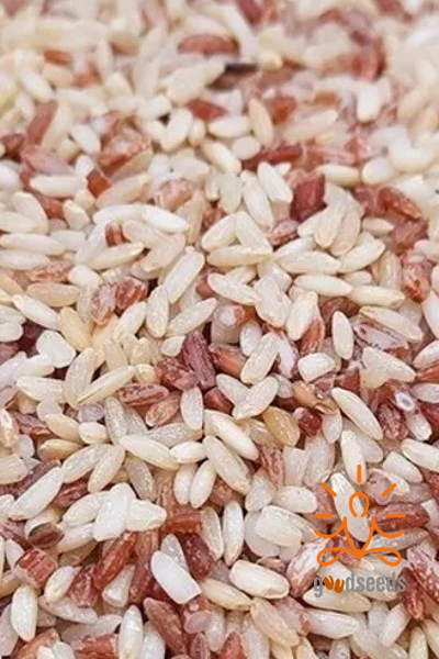 Rajamudi Rice