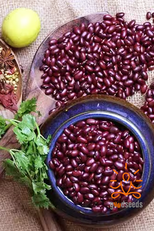 Himalayan Red Rajma